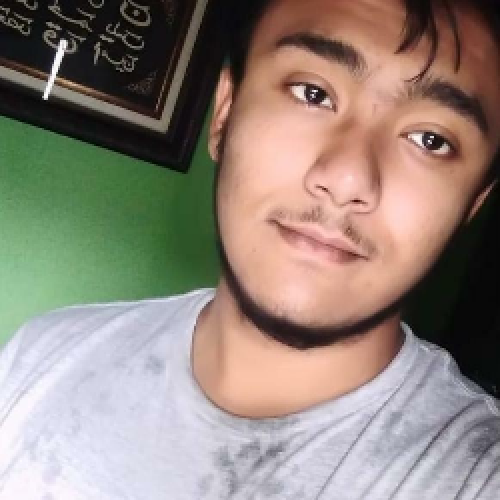 Syed Muhammad Hamza Mubashir