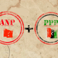 PPP mulls seat adjustment with ANP in Karachi, KP