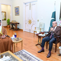 UAE to work closely with Pakistan for maintaining regional peace