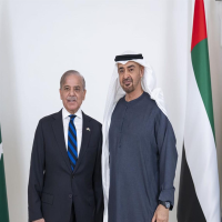 PM Shehbaz, UAE President discuss regional peace, bilateral ties