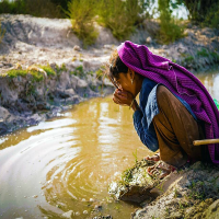 Alarming water shortage at Sindh barrages hitting hard to agriculture