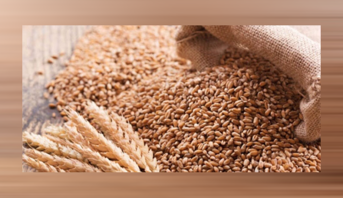 PM Sharif dismisses food security secretary amid wheat scandal