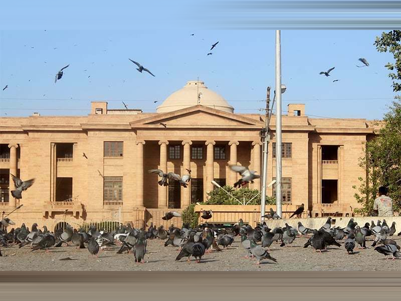 SHC disposes of 40 petitions challenging election results