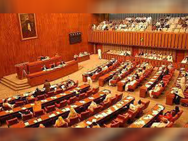 Senate body seeks details of persons detained under blasphemy law