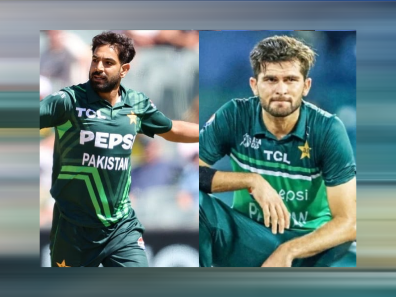 Haris Rauf makes mark, Shaheen moves down in ICC T20I Rankings Haris Rauf makes mark, Shaheen moves down in ICC T20I Rankings