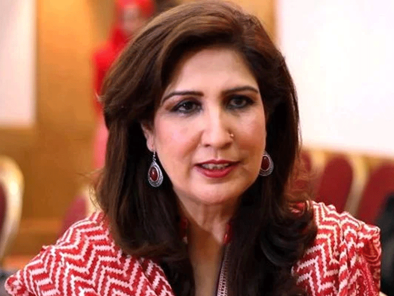 Collective approach pivotal to curb GBV agaisnt women: Shehla Raza