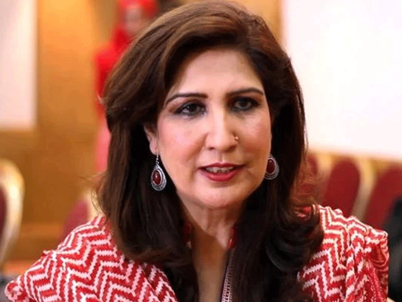 Collective approach pivotal to curb GBV agaisnt women: Shehla Raza Collective approach pivotal to curb GBV agaisnt women: Shehla Raza