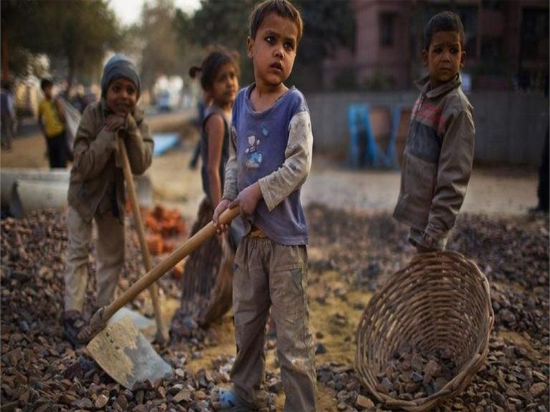 Implement child labour laws in real form, SHRC, LRF moot emphasis