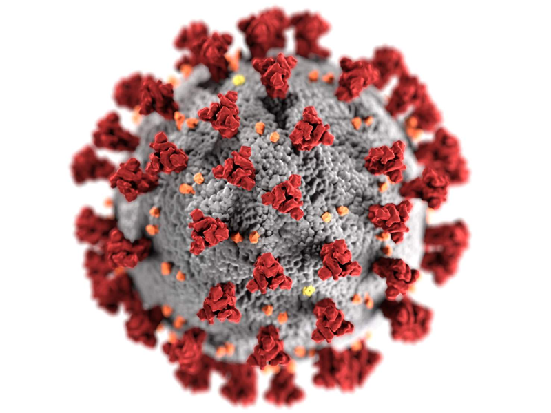 Nil death, 98 tested positive to coronavirus in last 24 hours: NIH
