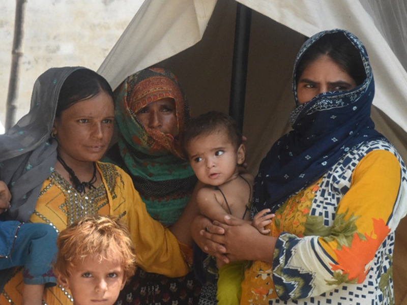 Health Minister says over 47,000 pregnant women in shelter camps across Sindh