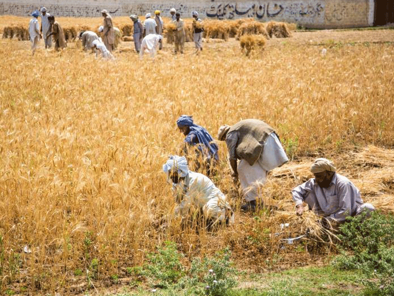 Trade imbalance and our agri sector