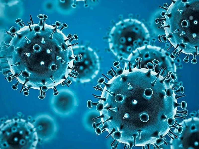 Nil casualty, 49 tested positive to Covid-19: NIH Nil casualty, 49 tested positive to Covid-19: NIH