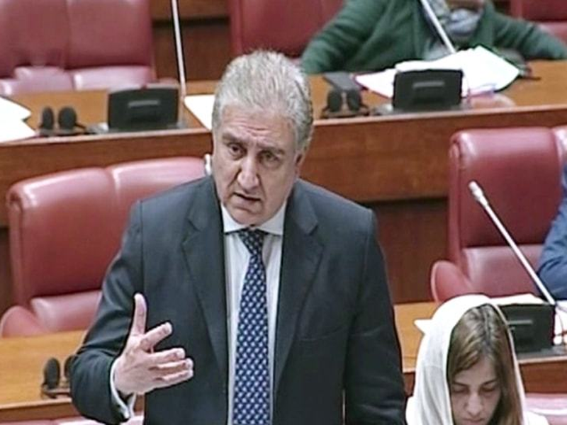 Every political party makes plan of action: Qureshi