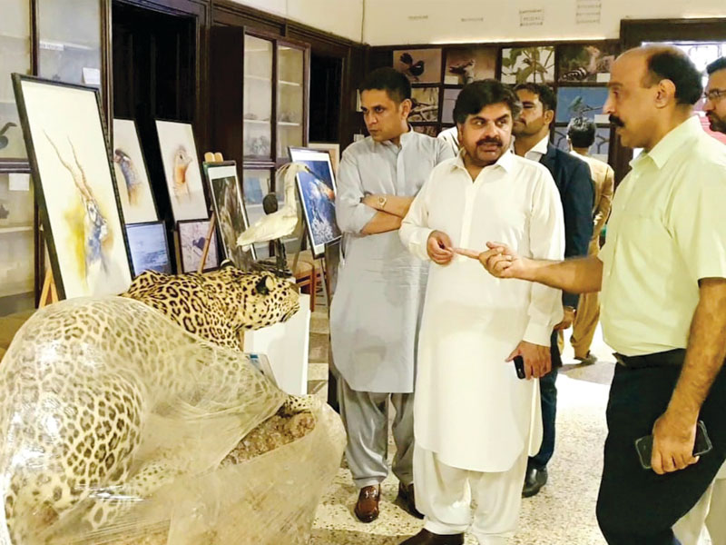 Nasir Shah directs administration to renovate historical Sindh Wildlife bldg