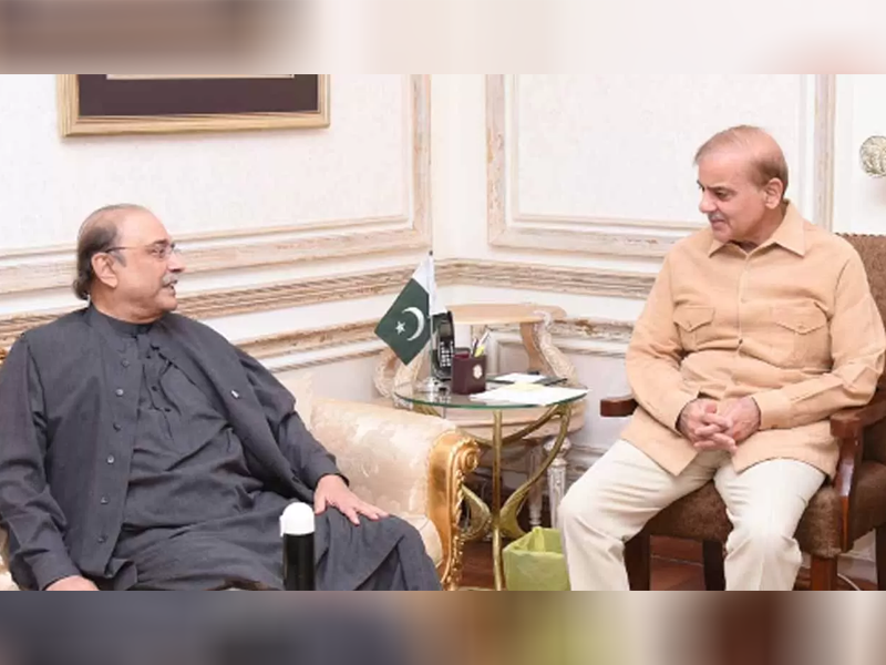 Asif Zardari, PM Shehbaz vow to take difficult decisions for economy revival