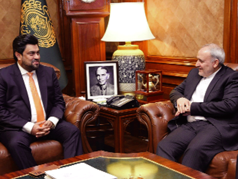Iranian envoy, Gov Sindh discuss investment in health, education, energy
