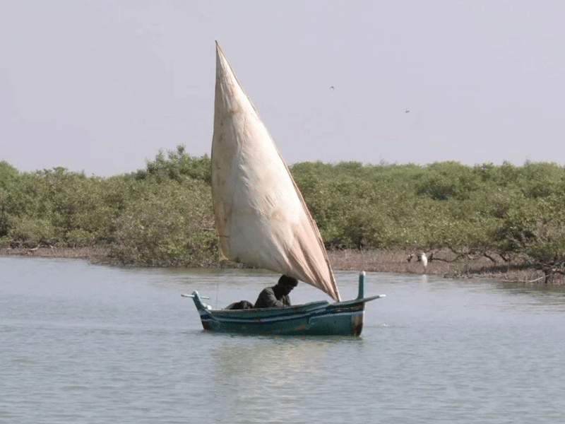 Repercussions of fading ecology in Indus Delta