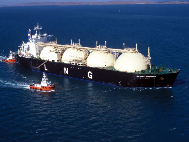 ECC excludes third party access for establishing new LNG terminals ECC excludes third party access for establishing new LNG terminals