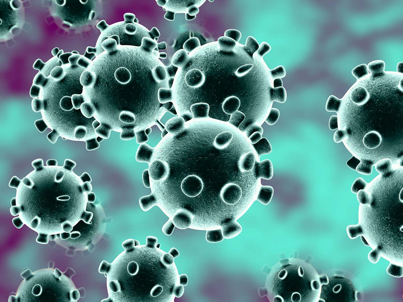 With no death, 105 tested positive to Covid-19: NIH With no death, 105 tested positive to Covid-19: NIH