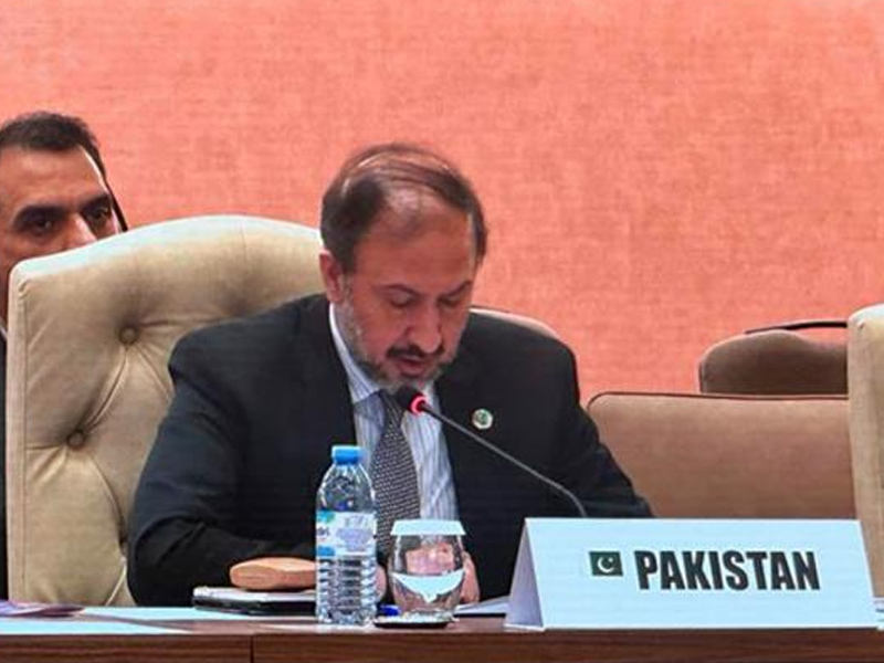 Pakistan calls for enhanced int’l cooperation to achieve SDGs
