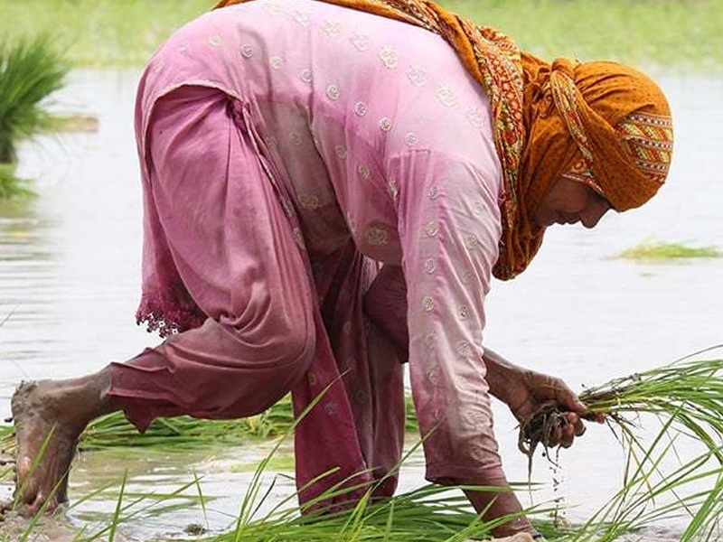 Provincial stakeholders spearheads empowerment for women agri-workers