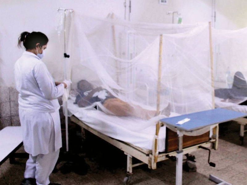 Islamabad like anti-Dengue campaign launched in Karachi Islamabad like anti-Dengue campaign launched in Karachi