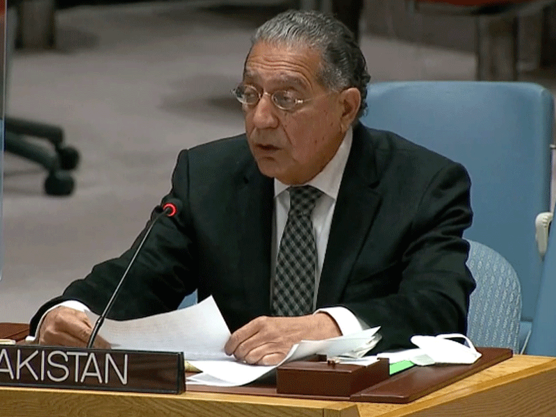 Pakistan urges UNSC to make ‘Bold’ moves to implement resolutions on Kashmir, Palestine