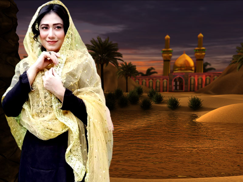 Respect for religious diversity an essential element of any peaceful state: Riz Kamali