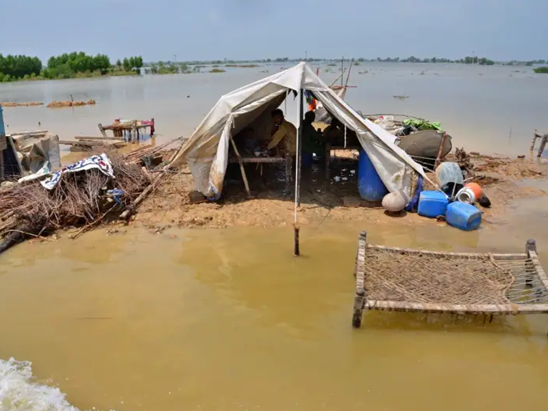 Monsoon rains, floods death toll reaches 1,033: NDMA Monsoon rains, floods death toll reaches 1,033: NDMA