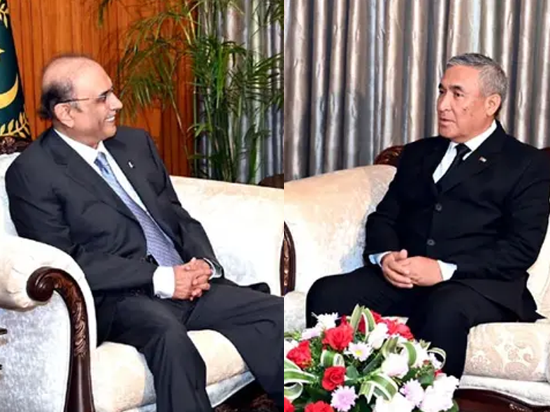 President Zardari for early completion of TAPI pipeline President Zardari for early completion of TAPI pipeline