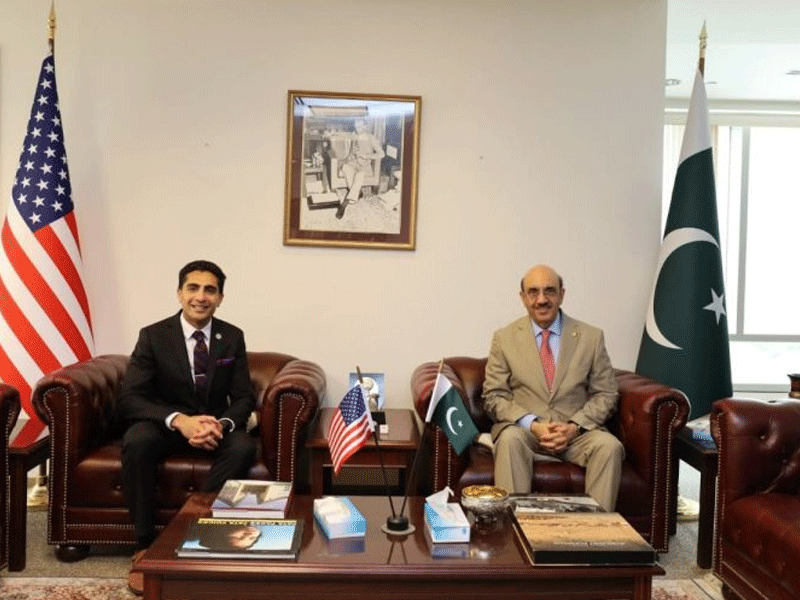 Pakistani-American Texan lawmaker discusses with Ambassador Masood Khan plans to boost Pak-Texas trade