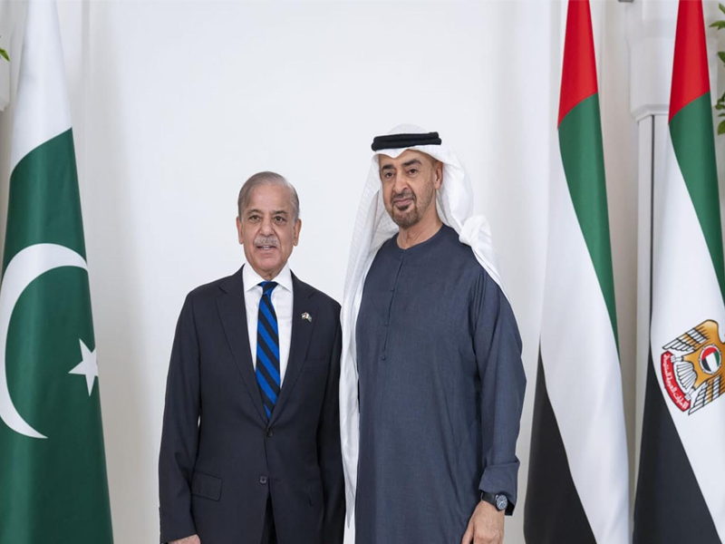 PM Shehbaz, UAE President discuss regional peace, bilateral ties