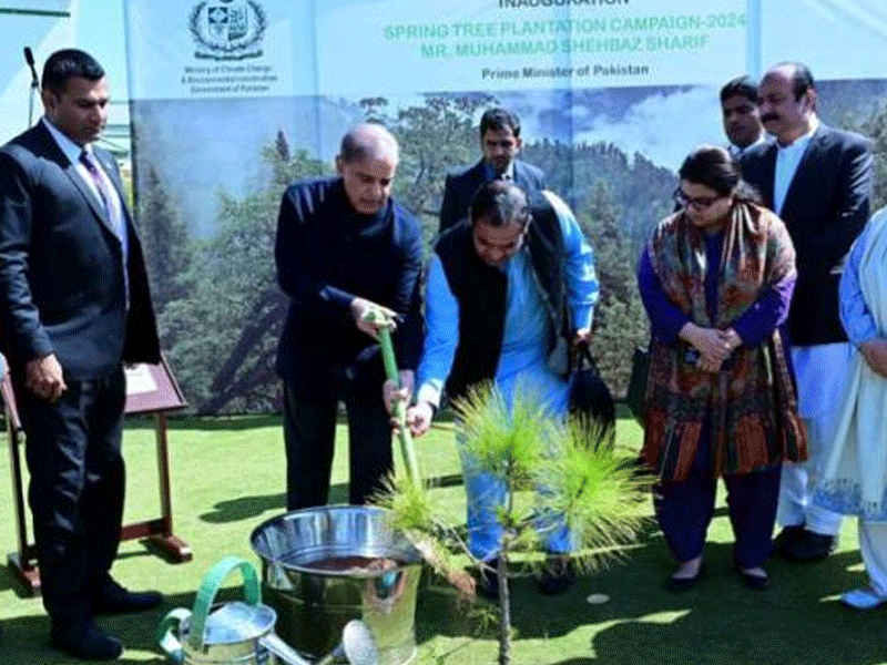 PM inaugurates Spring Tree Plantation drive PM inaugurates Spring Tree Plantation drive