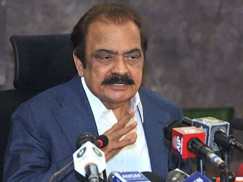 General election will be held on Oct 8 in country: Rana Sanaullah