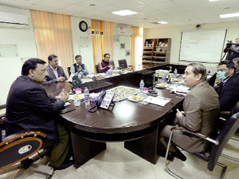 SAPM Tasneem Qureshi, CEO PASDEC discuss promoting marble exports SAPM Tasneem Qureshi, CEO PASDEC discuss promoting marble exports