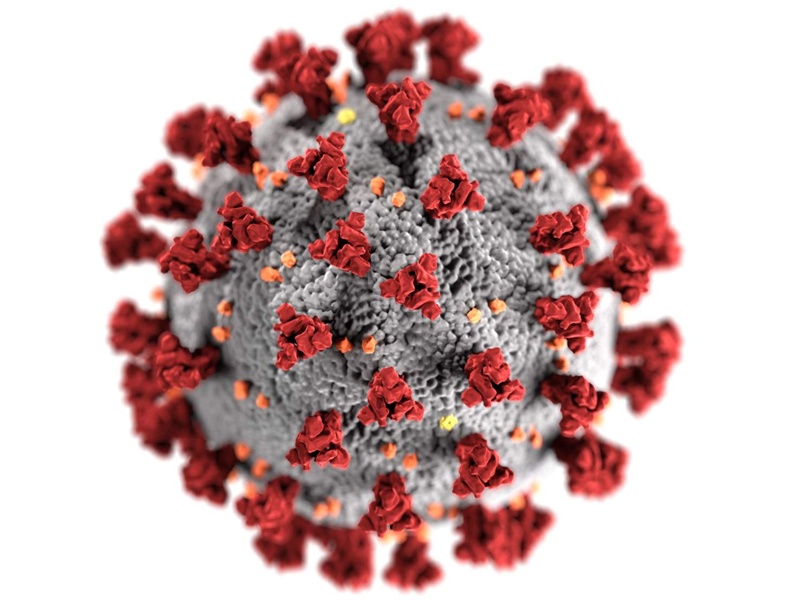 One dies, 117 tested positive to Covid-19 during last 24 hours: NIH One dies, 117 tested positive to Covid-19 during last 24 hours: NIH