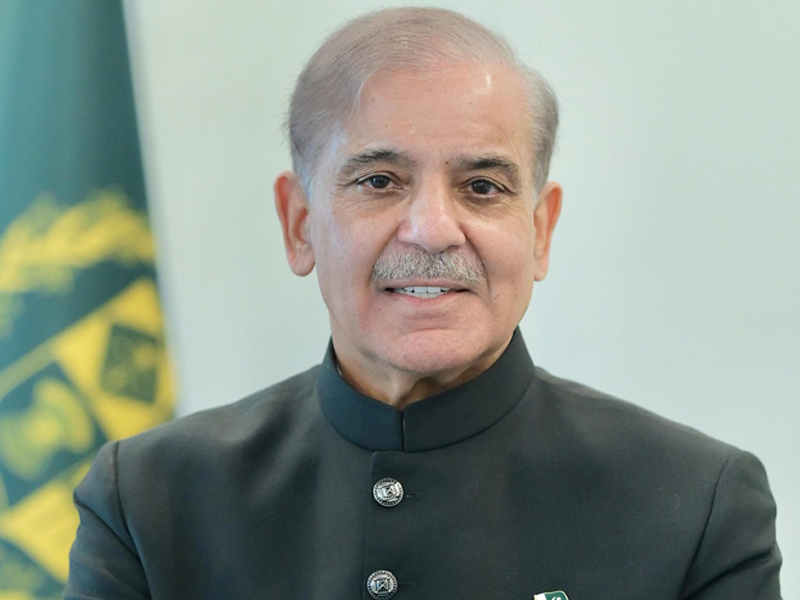 PM Shehbaz empowers ministers to hire professional headhunting firms