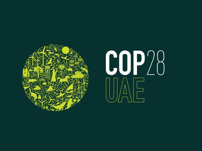Pakistan believes in UAE’s presidency of COP-28, opportunity for progress, effective global action