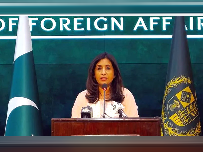 Banning political parties an internal issue of Pakistan: FO Banning political parties an internal issue of Pakistan: FO