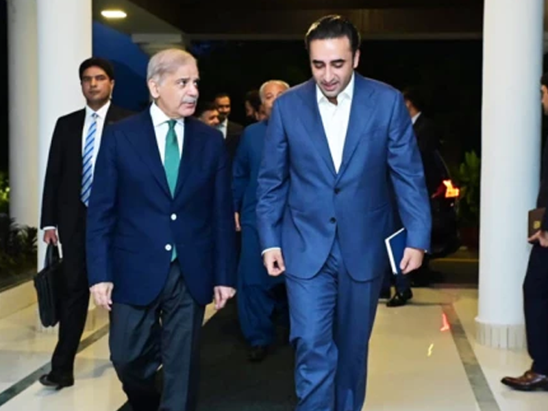 PM Shehbaz forms panel to end PPP-PML-N rift