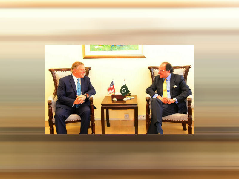 Aurangzeb discusses economic reforms, climate resilience with US envoy Aurangzeb discusses economic reforms, climate resilience with US envoy