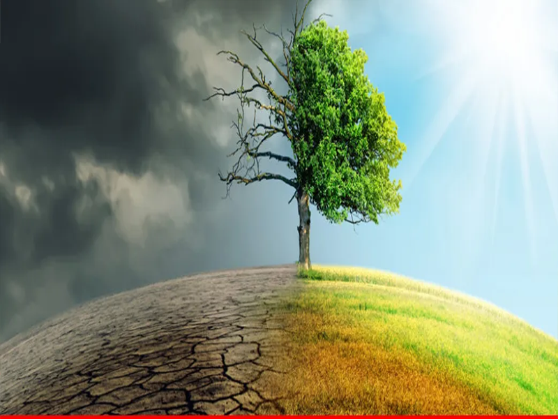 Heat and extreme weather: time to focus on tree plantation Heat and extreme weather: time to focus on tree plantation