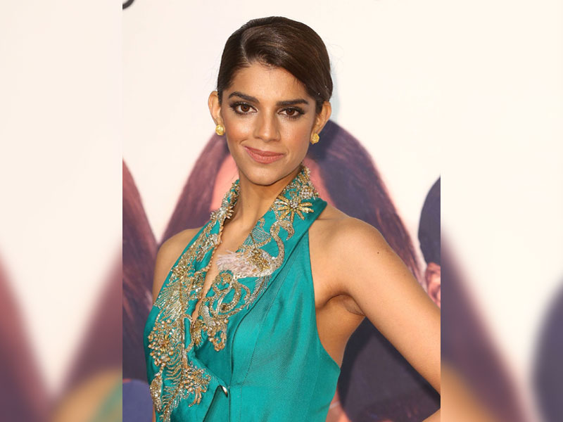 Portraying Muslims, Pakistanis as foes in Bollywood incorrect: Sanam Saeed Portraying Muslims, Pakistanis as foes in Bollywood incorrect: Sanam Saeed