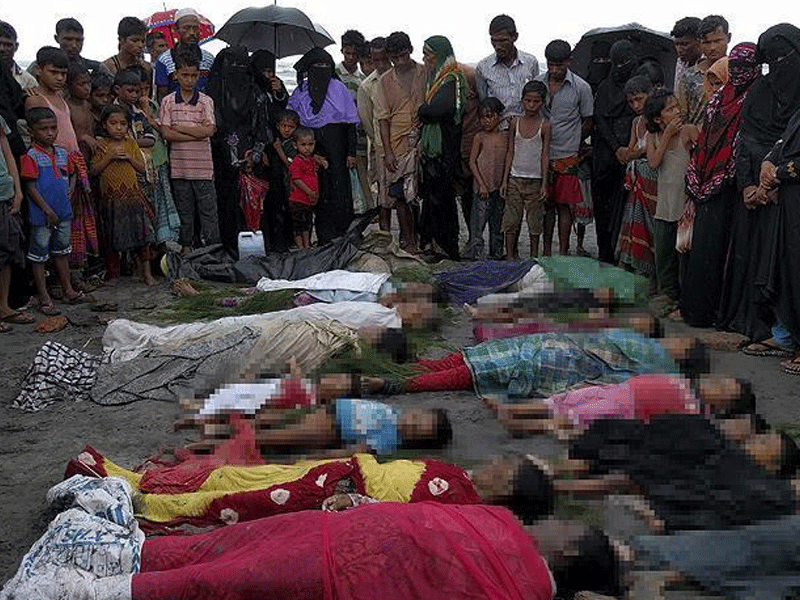 No respite for Rohingya Muslims No respite for Rohingya Muslims