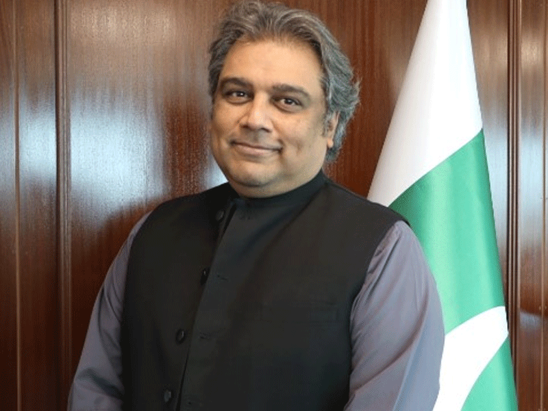 No democratic party runs away from elections like PDM alliance does: Ali Zaidi No democratic party runs away from elections like PDM alliance does: Ali Zaidi