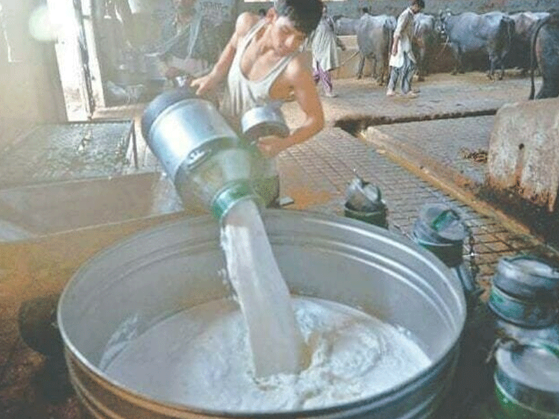 Fresh milk sellers looting consumers: CAP Chief demands govt to check fresh milk price