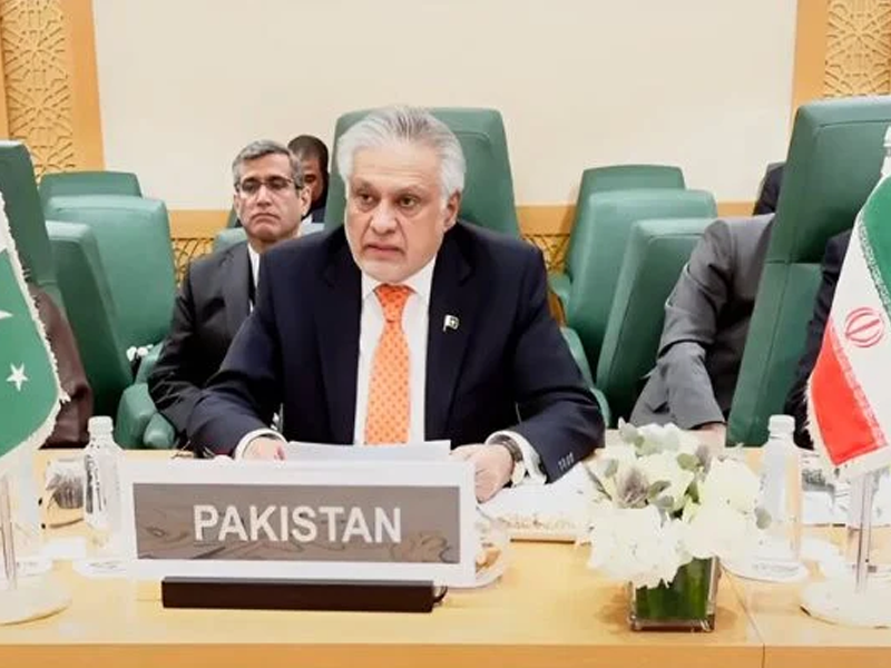 Pakistan rejects 'Greater Israel' plan at OIC moot, seeks immediate end to Gaza war Pakistan rejects 'Greater Israel' plan at OIC moot, seeks immediate end to Gaza war