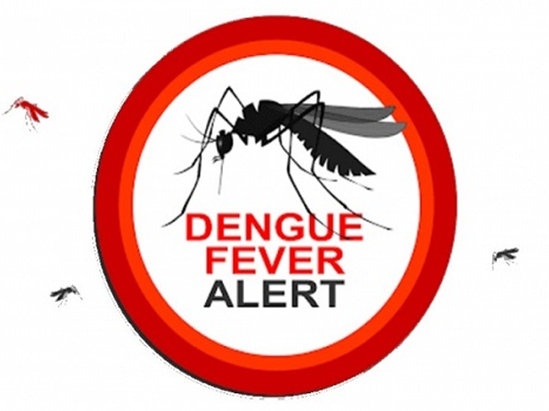 264 more Dengue cases reported in 24 hours
