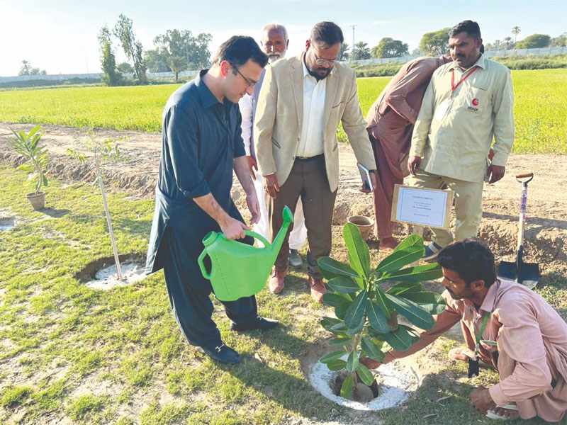 Dr ammad hussain s meet and greet session tree plantation at
