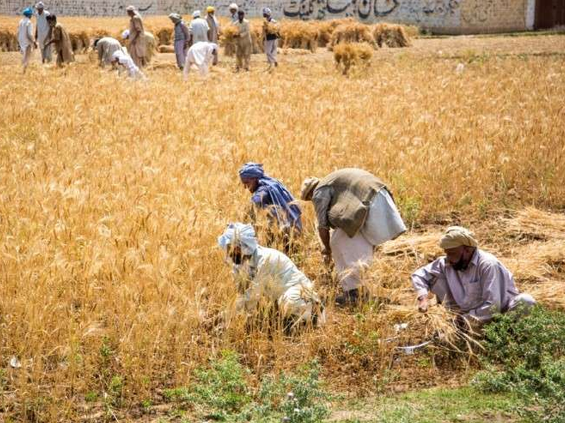 Provocation facing Pakistani farmers